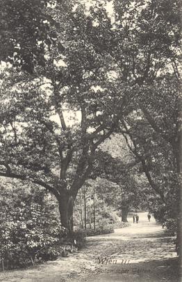 Blick in den Botanischen Garten